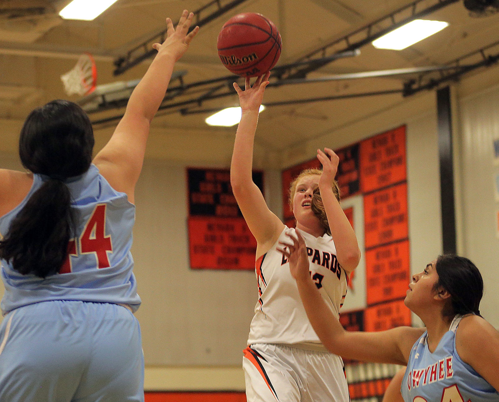 Owyhee at Wells Girls Basketball (25).jpg